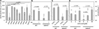 Siderophore for Lanthanide and Iron Uptake for Methylotrophy and Plant Growth Promotion in Methylobacterium aquaticum Strain 22A